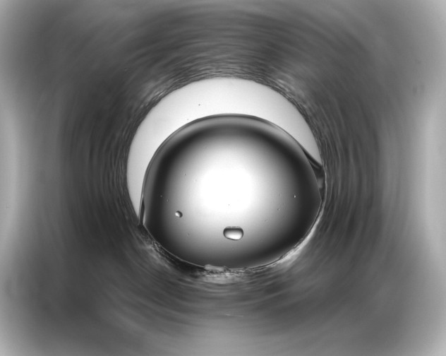 X0000086950190200704301225