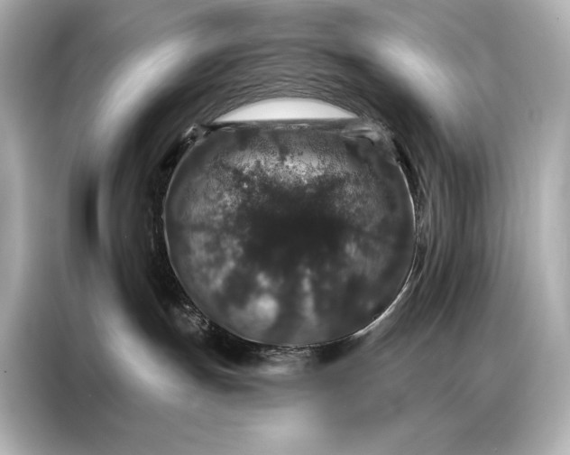 X0000086950191200704301225