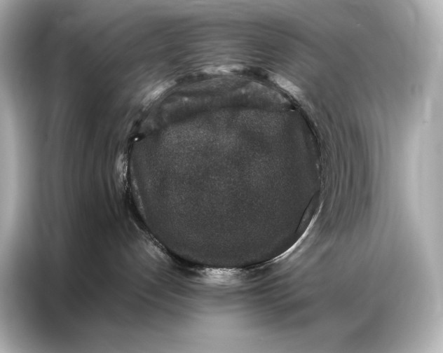 X0000086950192200704301225