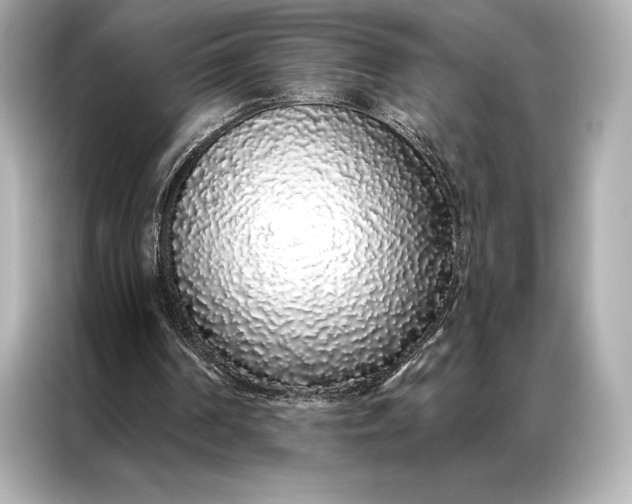 X0000086950194200704301224