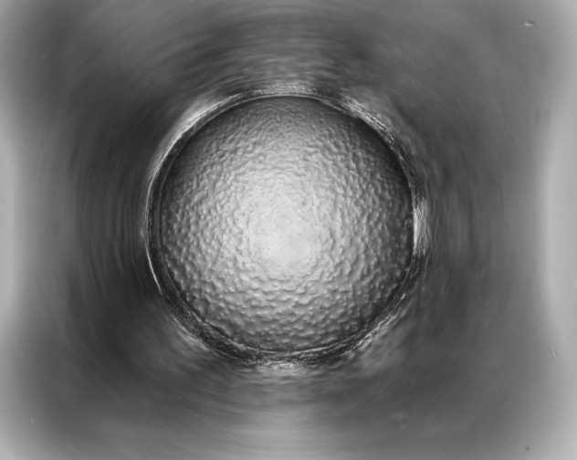 X0000086950195200704301224