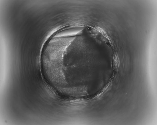 X0000086950196200704301224