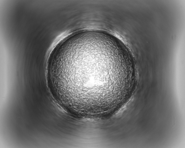 X0000086950199200704301224