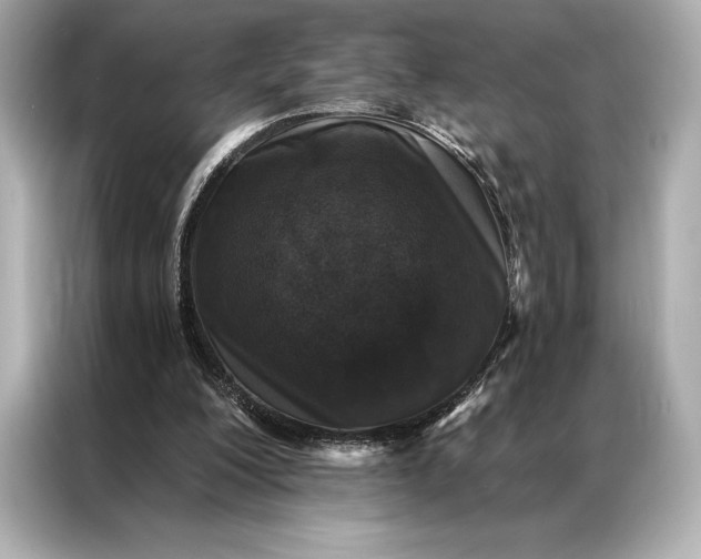 X0000086950200200704301224