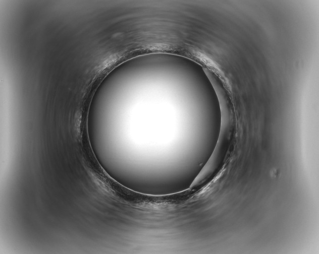 X0000086950201200704301224