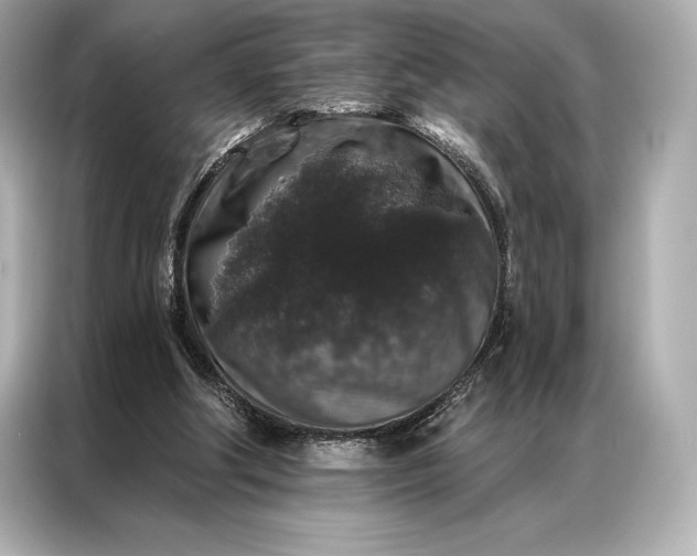 X0000086950202200704301224