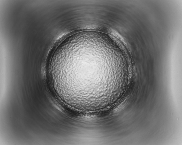 X0000086950203200704301224