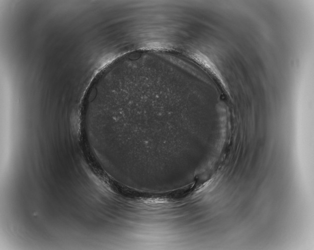 X0000086950204200704301224