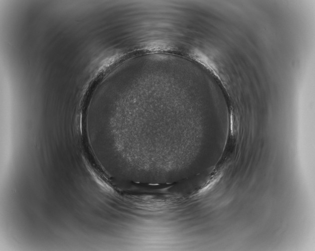 X0000086950205200704301224