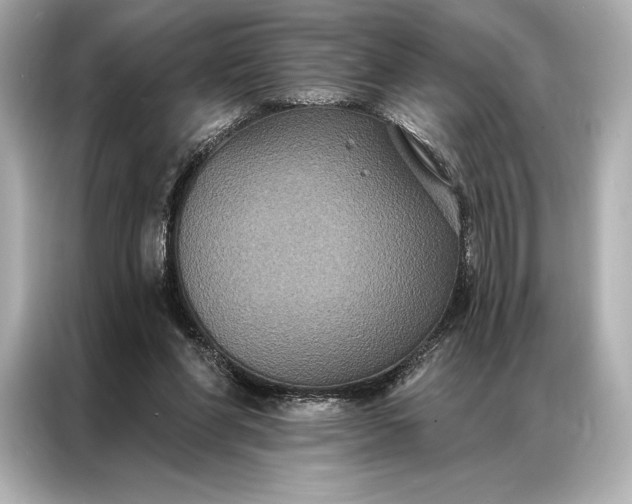 X0000086950206200704301224