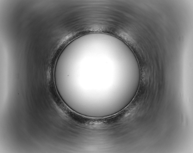 X0000086950208200704301224