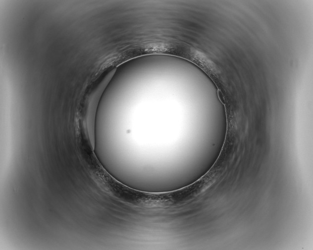 X0000086950209200704301224