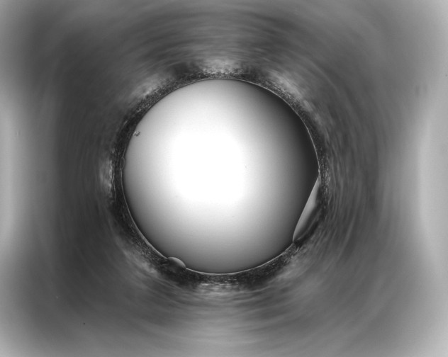 X0000086950211200704301224