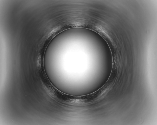 X0000086950212200704301224