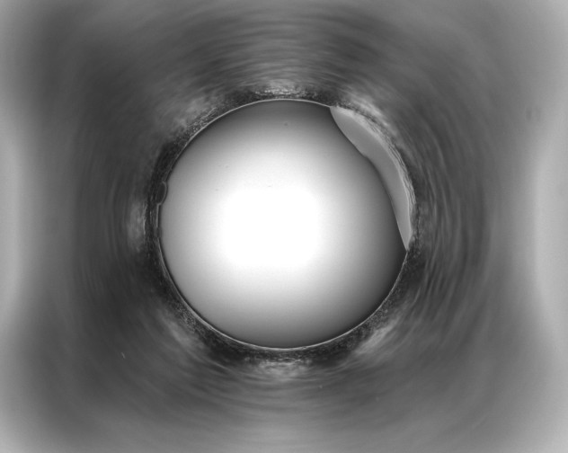 X0000086950213200704301224