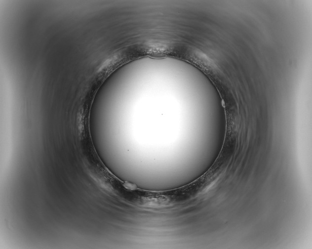 X0000086950215200704301224