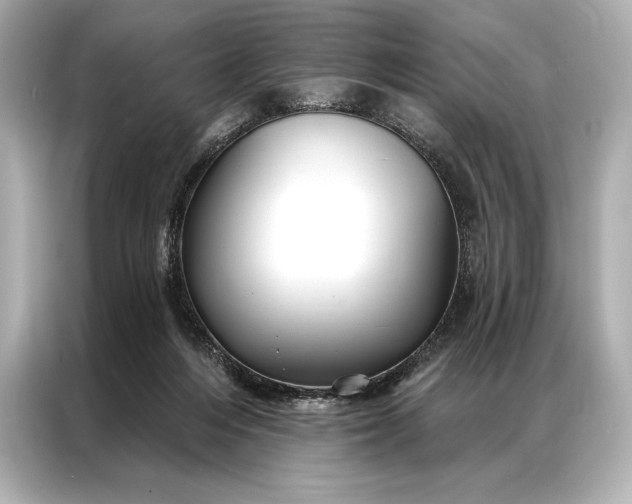 X0000086950216200704301224