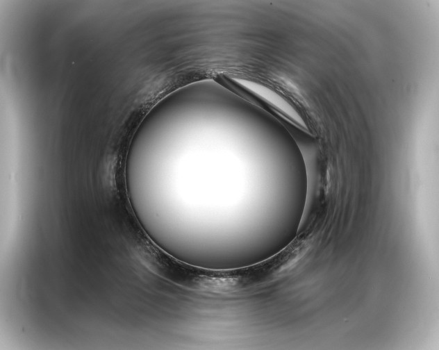 X0000086950217200704301224