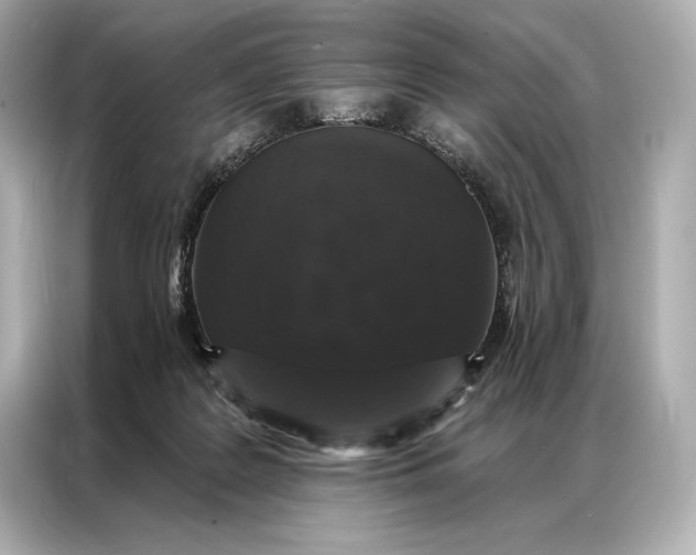 X0000086950219200704301224