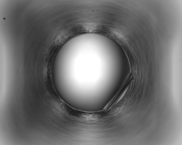 X0000086950221200704301224