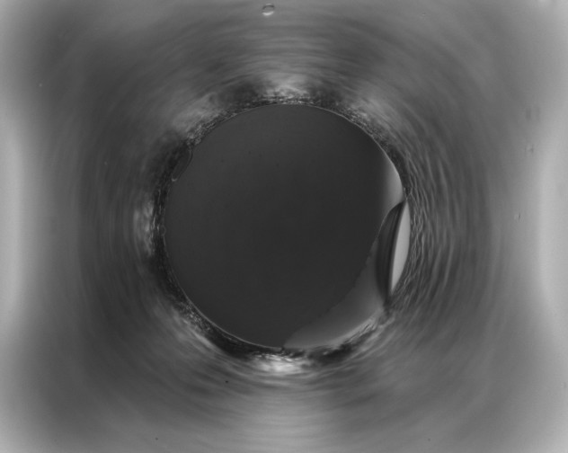 X0000086950223200704301224