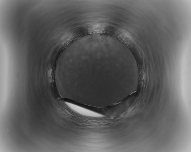 X0000086950224200704301224