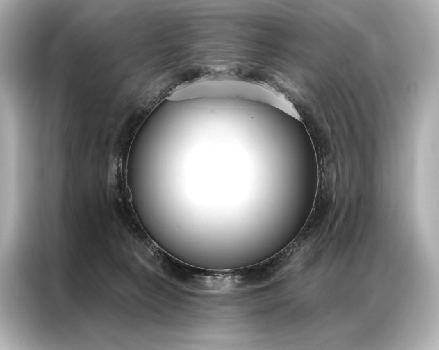 X0000086950225200704301224