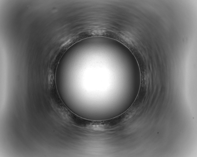 X0000086950228200704301224