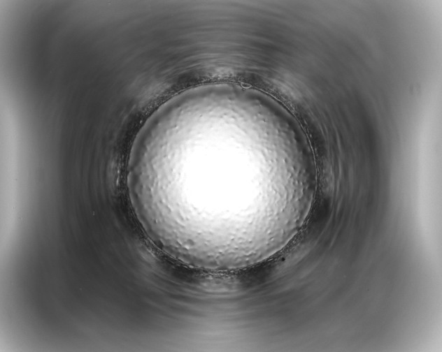 X0000086950230200704301224