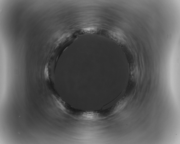 X0000086950231200704301224