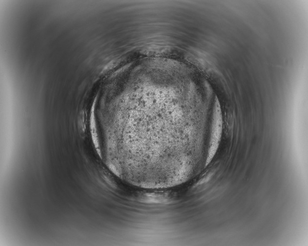 X0000086950232200704301224