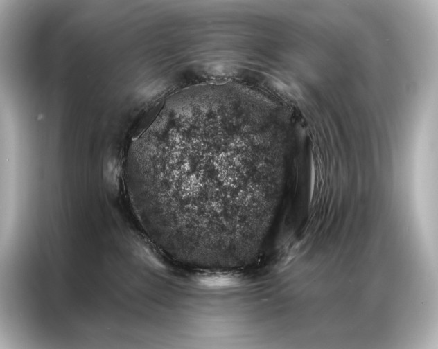 X0000086950235200704301224