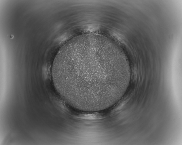 X0000086950236200704301224