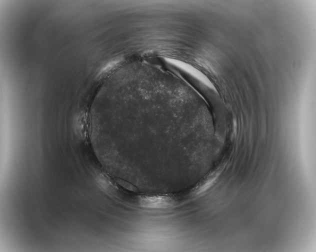 X0000086950237200704301224