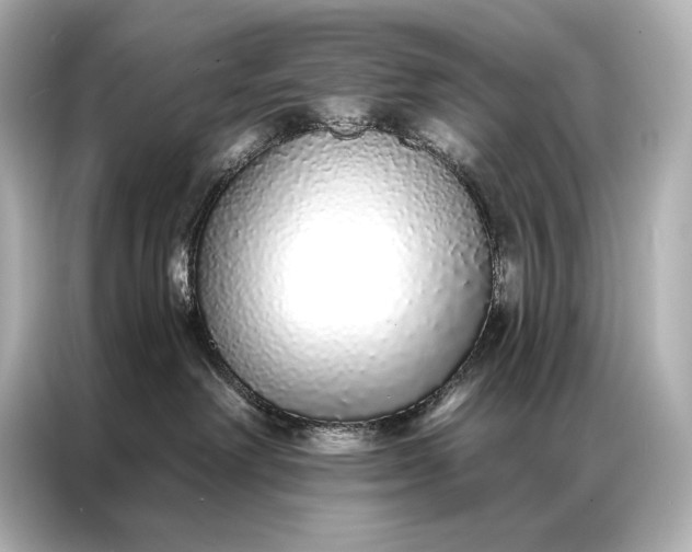 X0000086950238200704301224