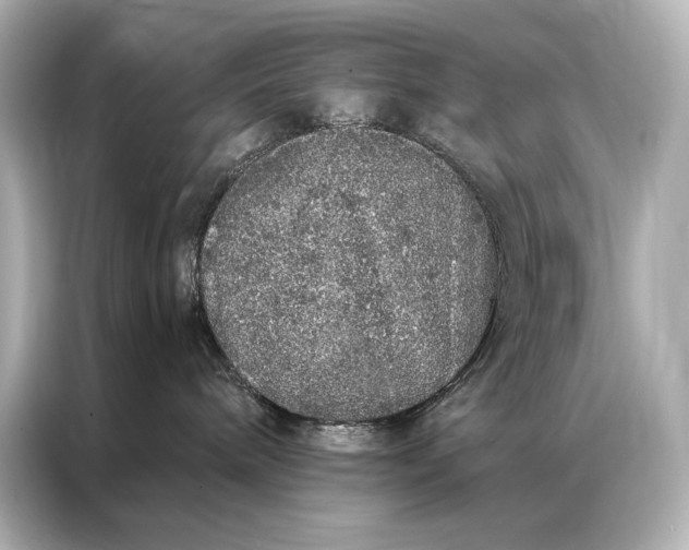 X0000086950240200704301224