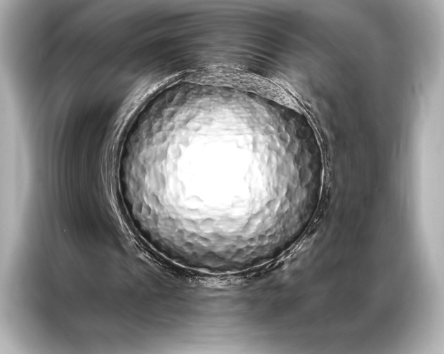 X0000086950241200704301223