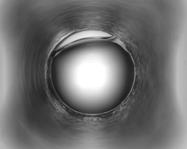 X0000086950242200704301223