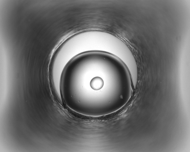 X0000086950244200704301223