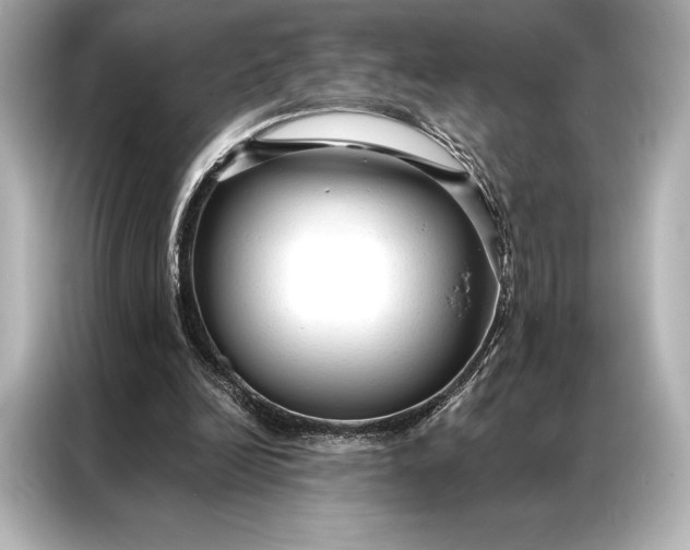 X0000086950246200704301223