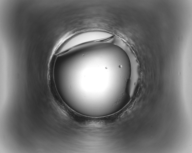 X0000086950248200704301223