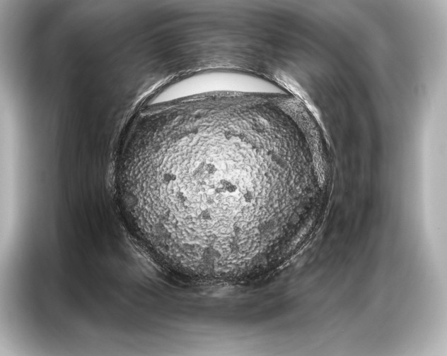 X0000086950249200704301223