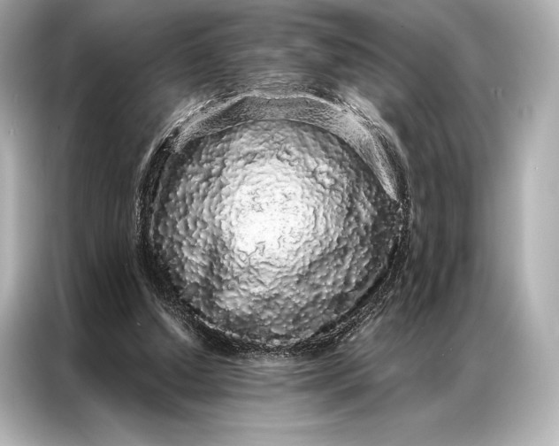 X0000086950250200704301223