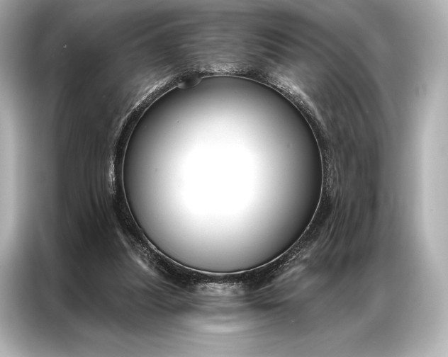 X0000086950251200704301223