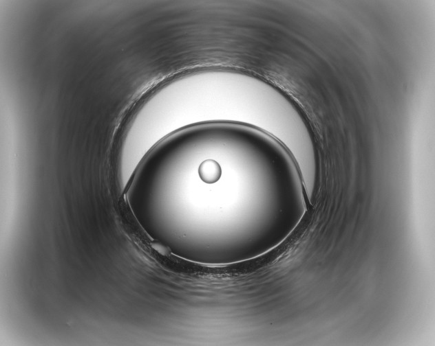 X0000086950252200704301223