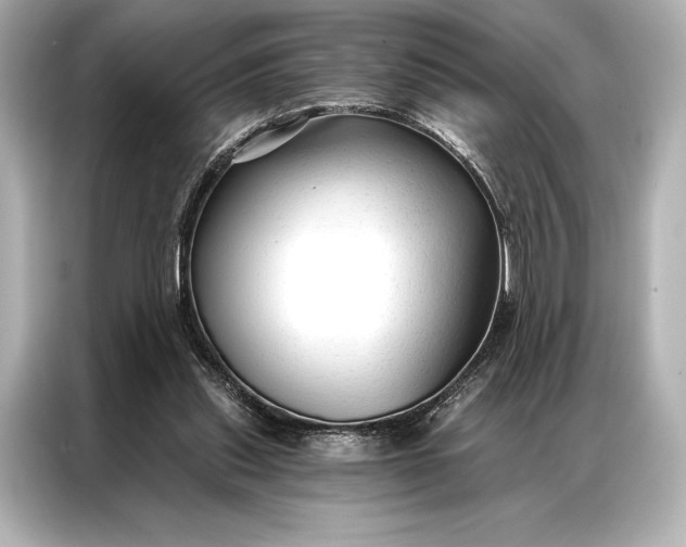 X0000086950253200704301223