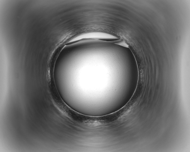 X0000086950254200704301223