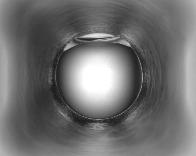 X0000086950255200704301223