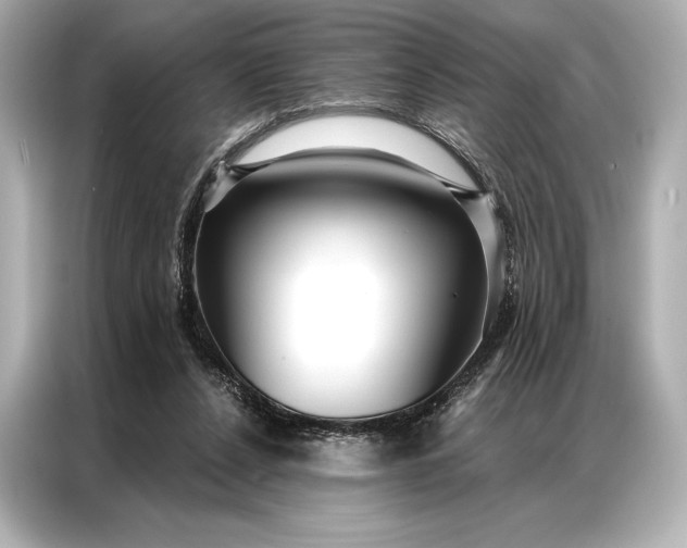 X0000086950256200704301223