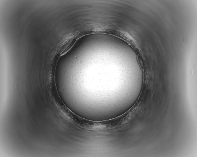 X0000086950257200704301223